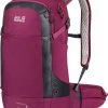 Jack Wolfskin Moab Jam Pro 24.5 Sac à dos, gris -Sacs à dos Boutique jack wolfskin moab jam pro 245 backpack beaujolais 1 1
