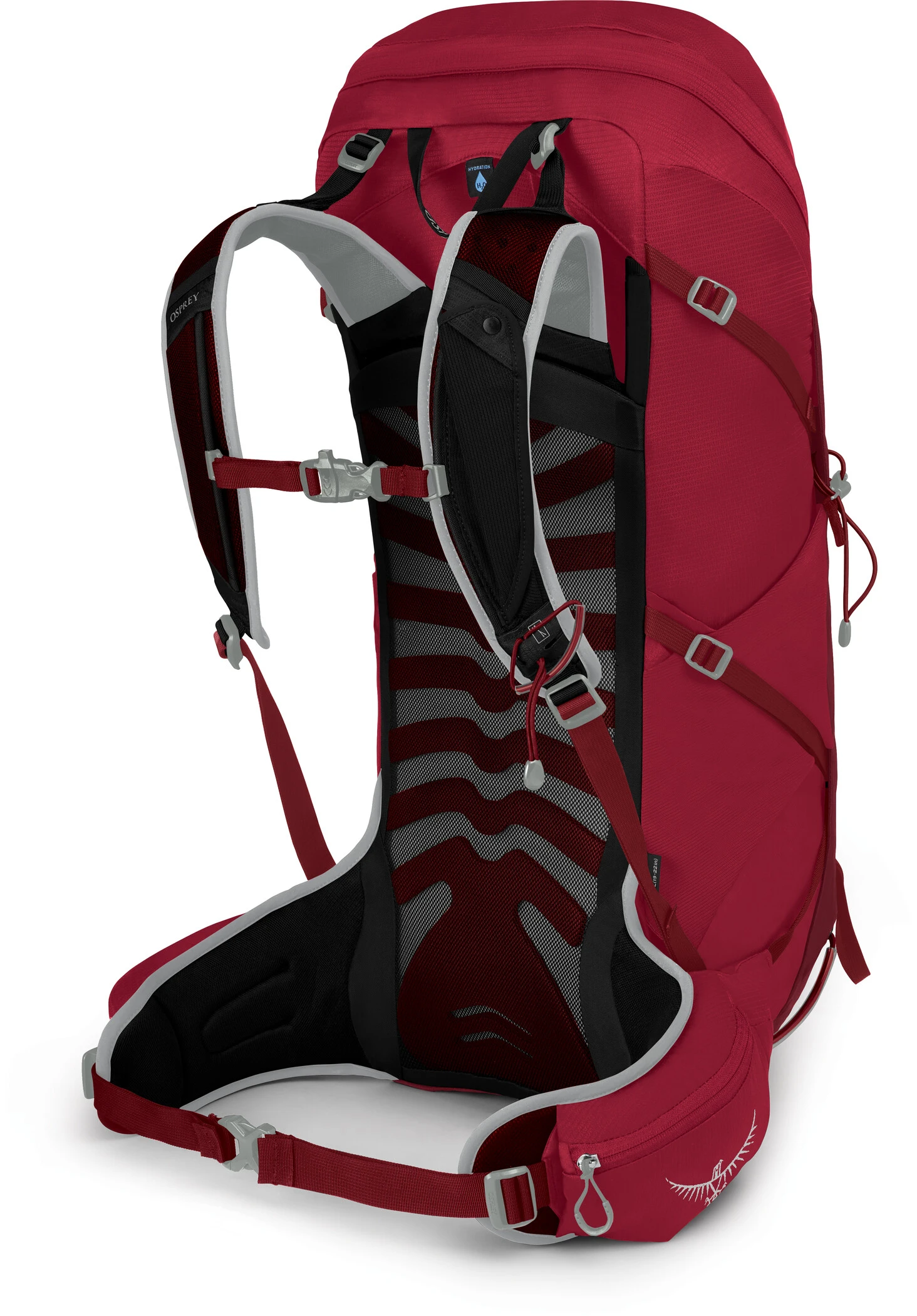 Osprey Talon 36 Sac à dos Homme, rouge 4 Osprey Talon 36 Sac à dos Homme, rouge – Image 2