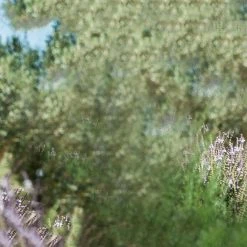 SOURCE Spry Harnais d’hydratation 1,5l Enfant, bleu/vert -Sacs à dos Boutique source spry trinkrucksack kinder 15l light blue green 4